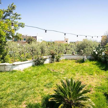 Green House Bed & Breakfast Monopoli Dış mekan fotoğraf